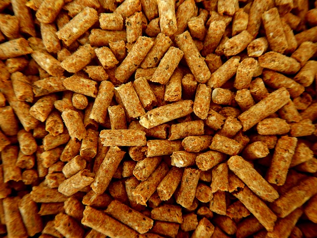 Pellet Ełk