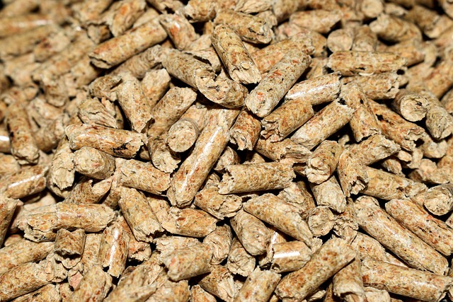 Pellet Ełk